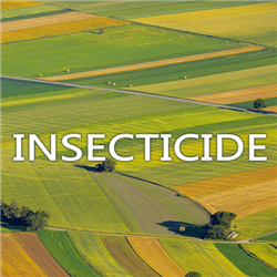 Insecticide