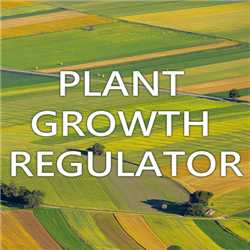 Plant Growth Regulator